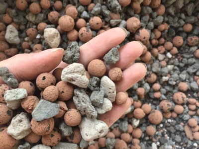 پوکه معدنی گردویی