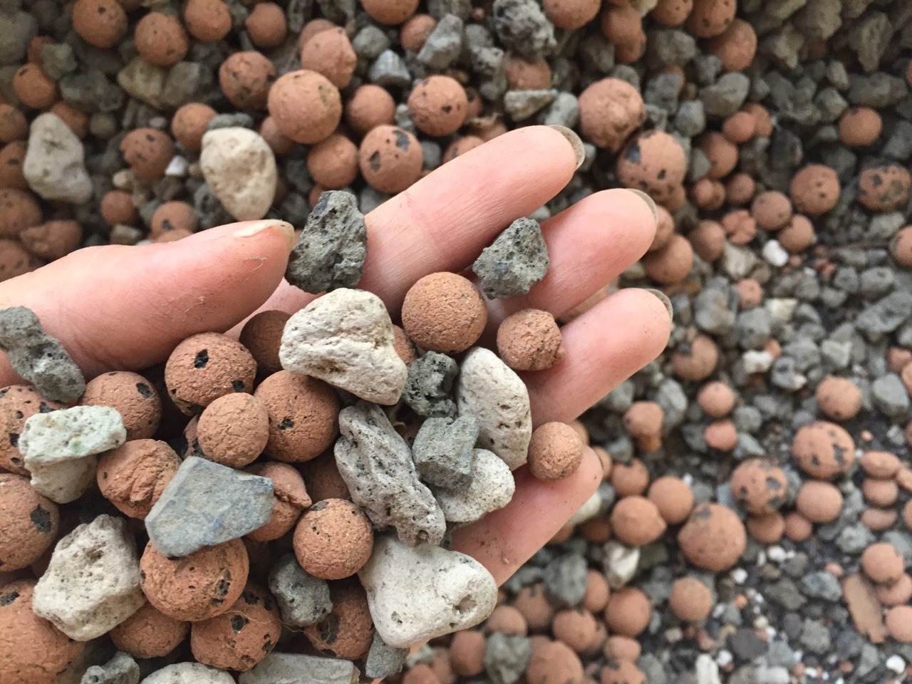 پوکه معدنی گردویی